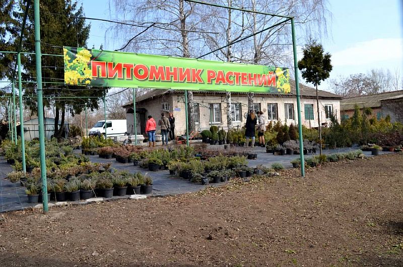 Где находится сад центр. Садовый центр. Садовый центр баннер. Садовый центр вывеска. Садовый питомник.