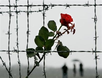 Картинка к: Міжнародний день визволення в’язнів фашистських концтаборів
