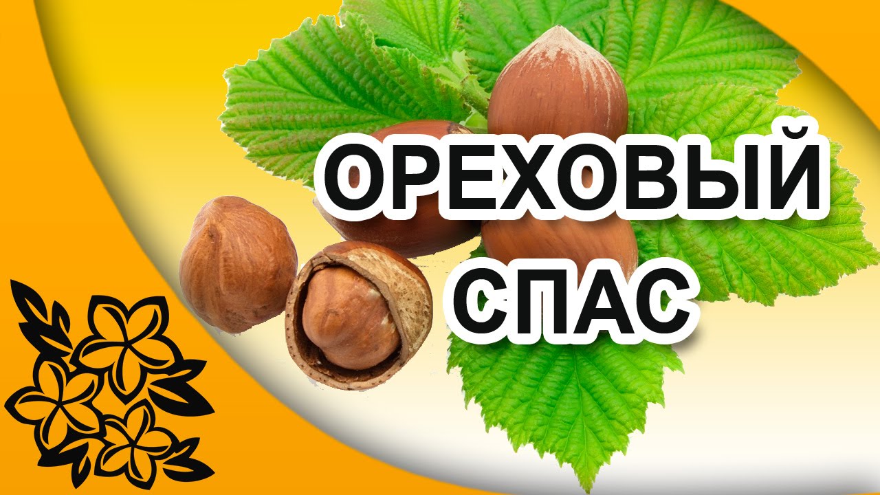 Картинка к: Ореховый Спас