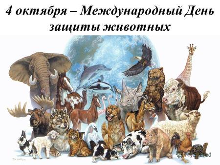 Картинка к: Всемирный день животных