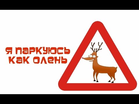 Картинка к: «Я паркуюсь, как олень»: в Никополе водители оставляют машины возле мусорных баков