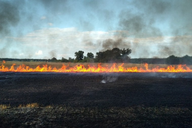 Картинка к: Под Никополем выгорело два гектара пшеницы