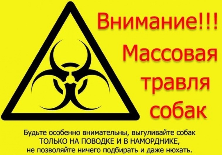 Картинка к: В Никополе снова травят собак: теперь догхантер орудует в микрорайоне Жуковского