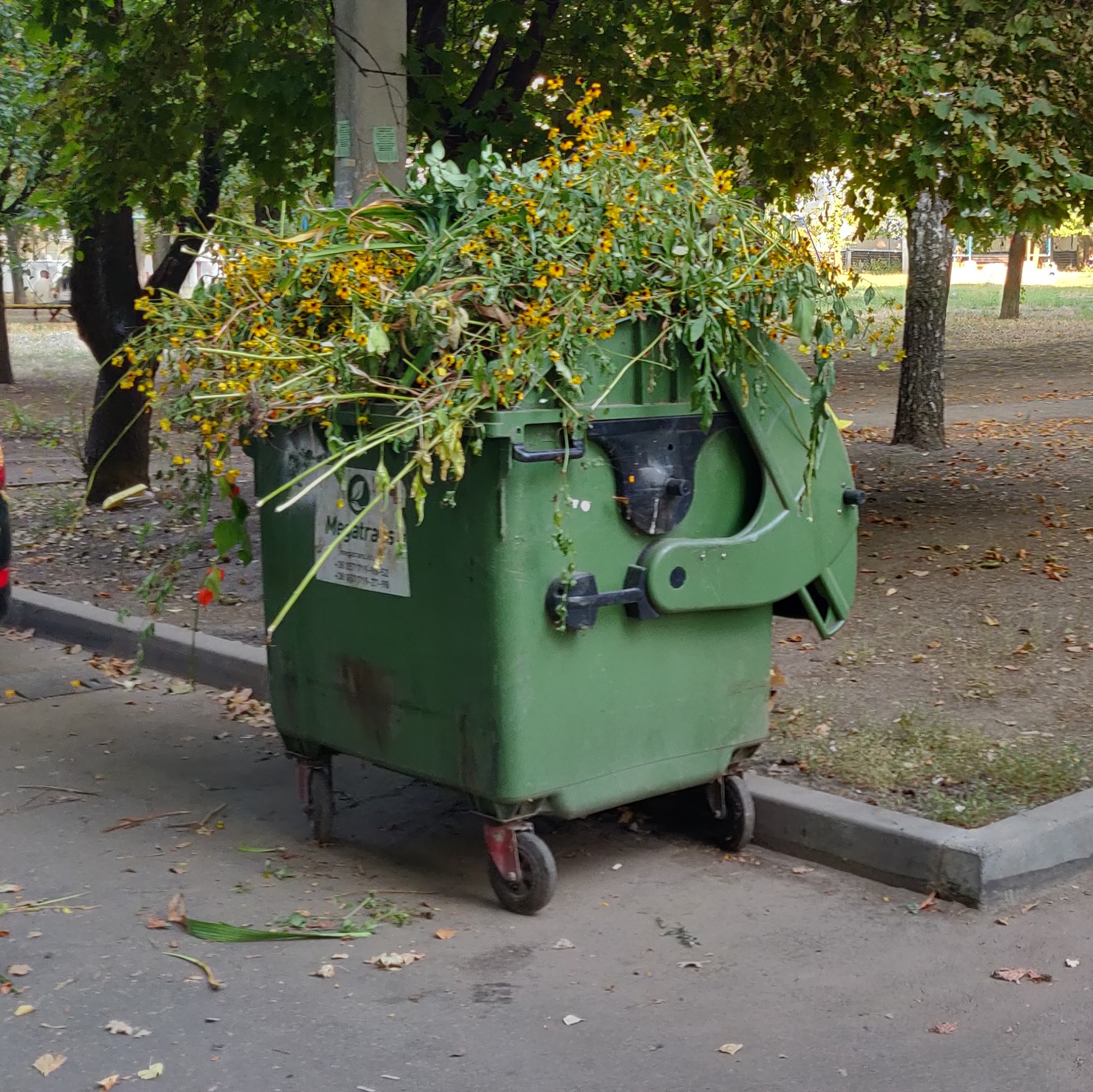 Картинка к: Заммэра Никополя прогнозирует мусорный коллапс в городе в 2020 году