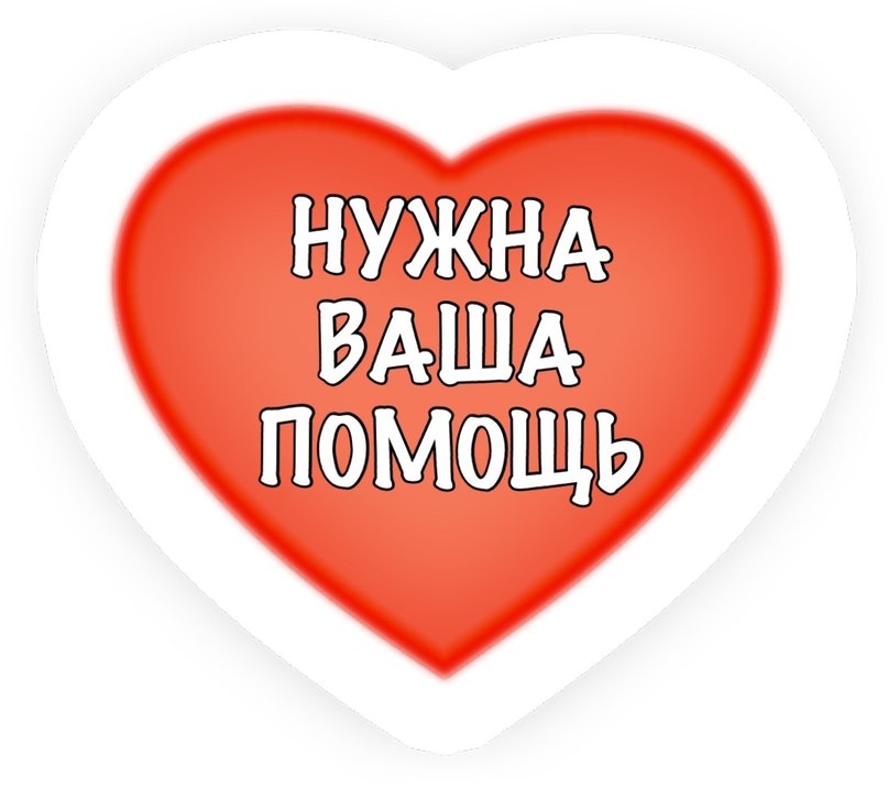 Картинка к: Крошечная никопольчанка нуждается в помощи