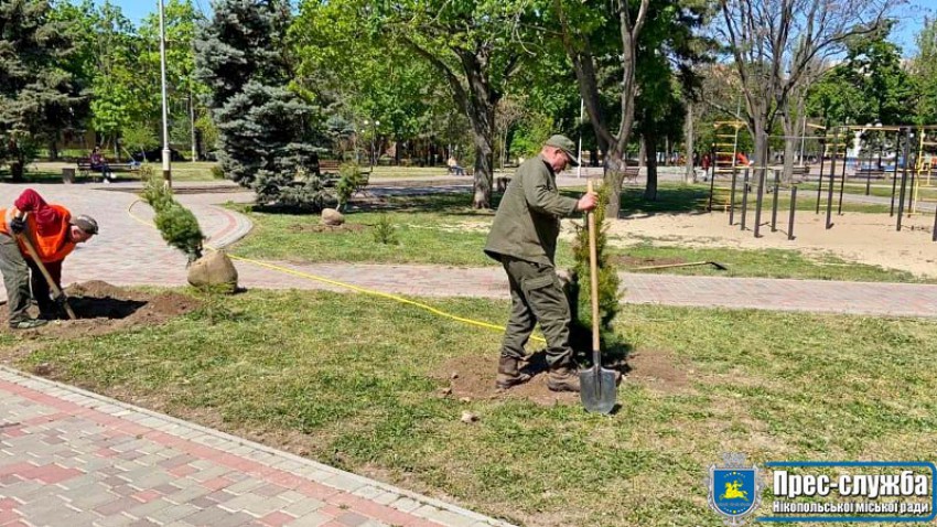 Картинка к: У Нікополі цієї весни висадять 500 дерев