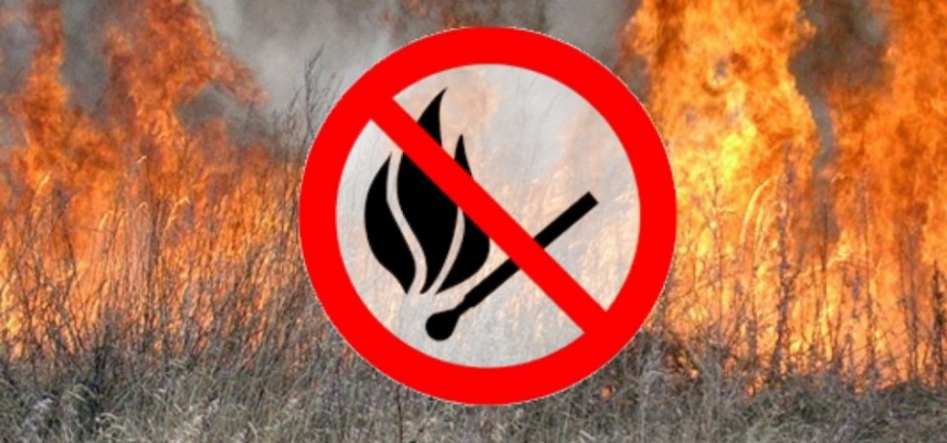 Картинка к: Звернення до громадян щодо спалювання сухої трави
