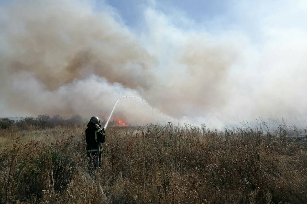 Картинка к: Пожар в экосистеме: возле Никополя выгорело 2 гектара травы