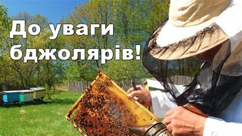 Картинка к: До уваги власників бджолосімей!