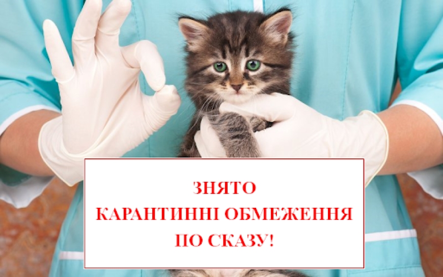 Картинка к: Зняття карантинних обмежень у місті Нікополі, пов’язаних з випадком захворювання на сказ у тварини