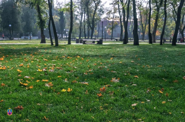 Картинка к: У центральному парку Покрова висаджують дерева