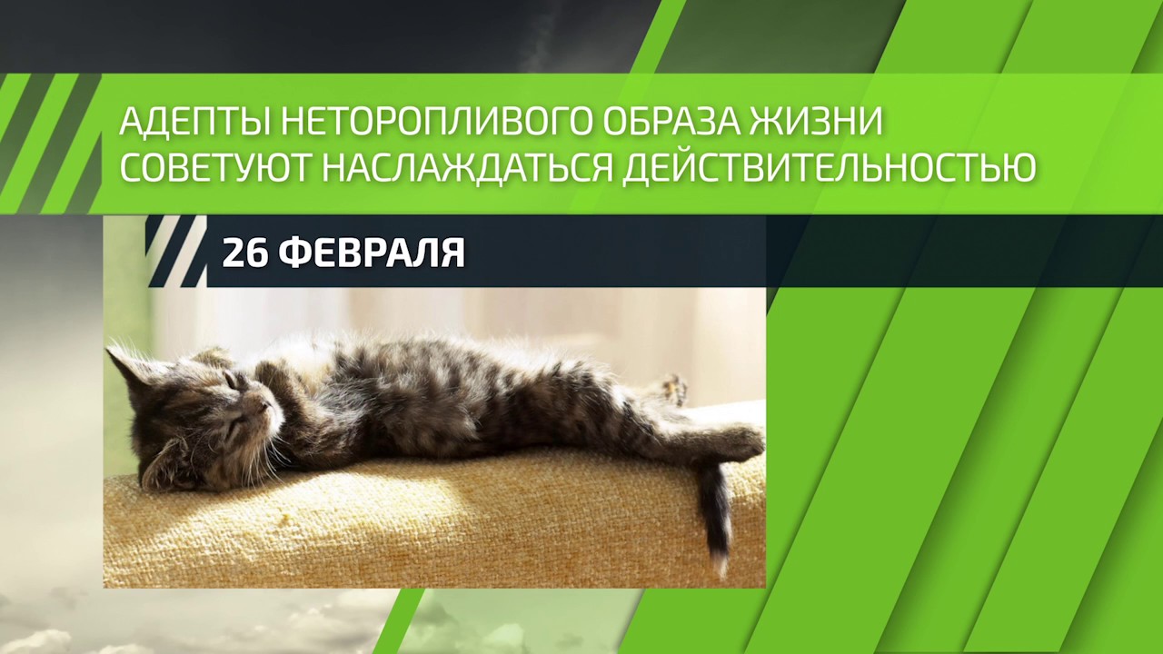 Картинка к: Всемирный день неторопливости