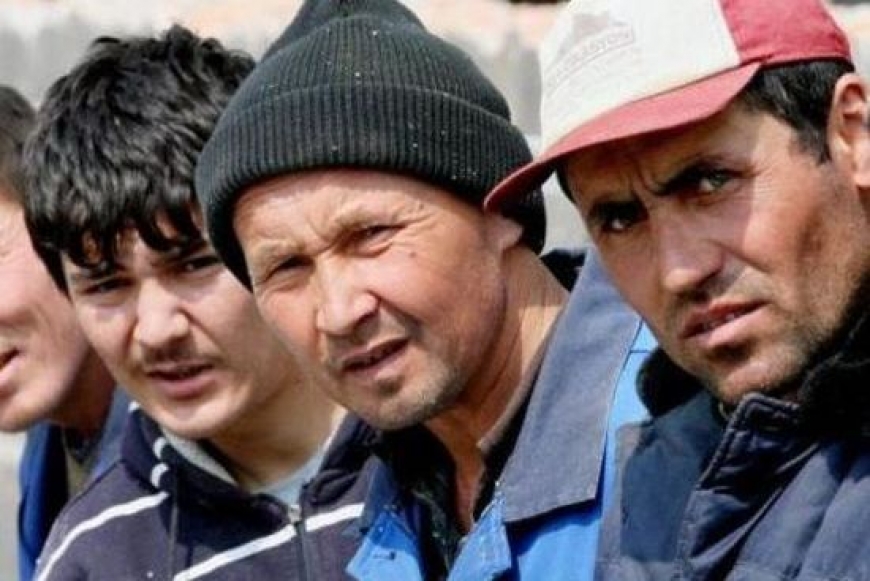 Картинка к: В Никополе поймали троих нелегальных мигрантов