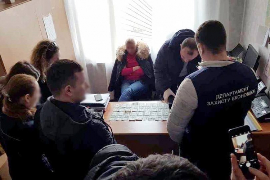 Картинка к: В Никополе на взятке задержана чиновница