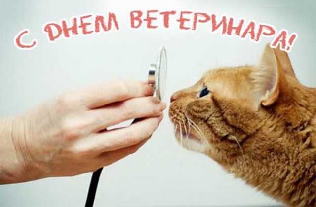 Картинка к: Международный день ветеринарного врача