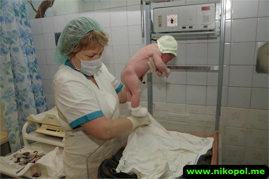 Картинка к: В первый день нового года аист пожаловал в 4 никопольские семьи