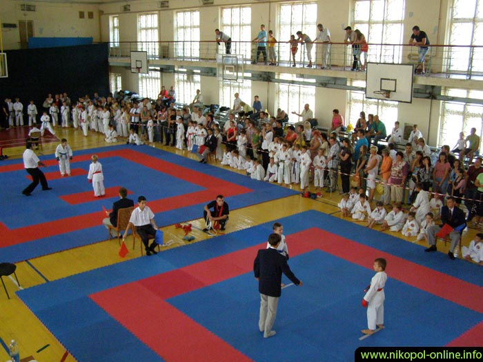 открытый чемпионат по спортивному каратэ WKF Никополь Онлайн