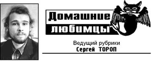 Картинка к: Мелкие собаки живут дольше