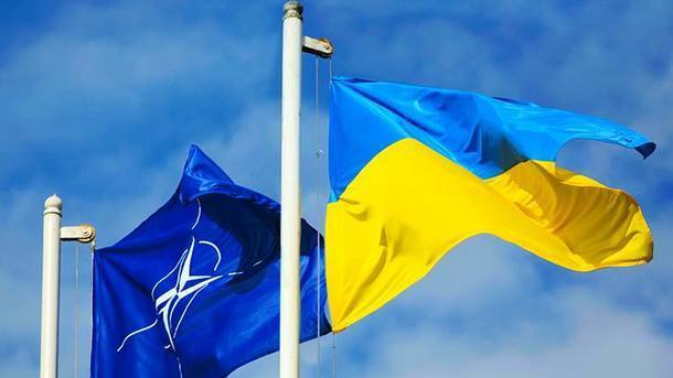 Картинка к: В Польше считают, что Украина и Грузия должны как можно скорее стать членами НАТО